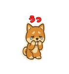 かわいい豆柴の毎日使えるスタンプ（個別スタンプ：29）