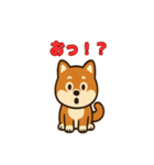 かわいい豆柴の毎日使えるスタンプ（個別スタンプ：30）