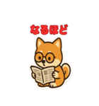 かわいい豆柴の毎日使えるスタンプ（個別スタンプ：31）