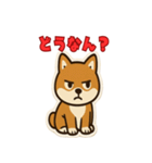 かわいい豆柴の毎日使えるスタンプ（個別スタンプ：33）