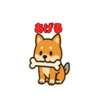 かわいい豆柴の毎日使えるスタンプ（個別スタンプ：35）