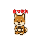 かわいい豆柴の毎日使えるスタンプ（個別スタンプ：37）