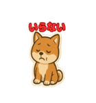 かわいい豆柴の毎日使えるスタンプ（個別スタンプ：39）