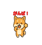 かわいい豆柴の毎日使えるスタンプ（個別スタンプ：40）