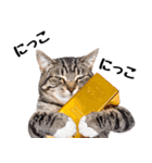 ぎゅっと抱きしめ猫の日常スタンプ（個別スタンプ：15）