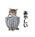 ぎゅっと抱きしめ猫の日常スタンプ（個別スタンプ：16）