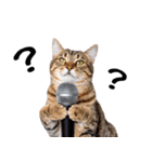 ぎゅっと抱きしめ猫の日常スタンプ（個別スタンプ：19）