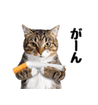 ぎゅっと抱きしめ猫の日常スタンプ（個別スタンプ：27）