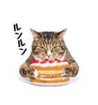 ぎゅっと抱きしめ猫の日常スタンプ（個別スタンプ：29）