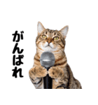 ぎゅっと抱きしめ猫の日常スタンプ（個別スタンプ：32）