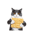 ぎゅっと抱きしめ猫の日常スタンプ（個別スタンプ：37）