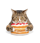 ぎゅっと抱きしめ猫の日常スタンプ（個別スタンプ：38）