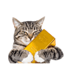 ぎゅっと抱きしめ猫の日常スタンプ（個別スタンプ：40）