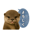 【家族連絡】カワウソ（個別スタンプ：1）