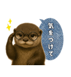 【家族連絡】カワウソ（個別スタンプ：2）