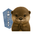 【家族連絡】カワウソ（個別スタンプ：3）