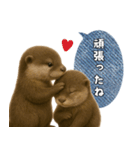 【家族連絡】カワウソ（個別スタンプ：7）