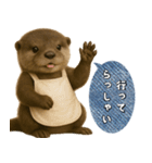 【家族連絡】カワウソ（個別スタンプ：10）