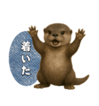 【家族連絡】カワウソ（個別スタンプ：12）