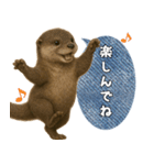 【家族連絡】カワウソ（個別スタンプ：13）
