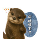 【家族連絡】カワウソ（個別スタンプ：14）