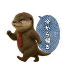 【家族連絡】カワウソ（個別スタンプ：18）