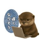 【家族連絡】カワウソ（個別スタンプ：21）