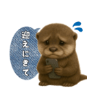 【家族連絡】カワウソ（個別スタンプ：22）