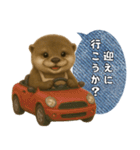 【家族連絡】カワウソ（個別スタンプ：23）