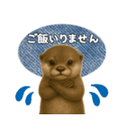 【家族連絡】カワウソ（個別スタンプ：25）