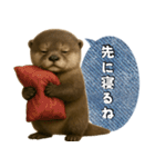 【家族連絡】カワウソ（個別スタンプ：27）