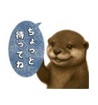 【家族連絡】カワウソ（個別スタンプ：32）