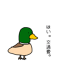 理解あるカモくん（個別スタンプ：6）