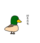 理解あるカモくん（個別スタンプ：10）