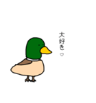 理解あるカモくん（個別スタンプ：32）