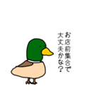 理解あるカモくん（個別スタンプ：34）