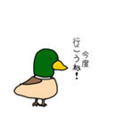 理解あるカモくん（個別スタンプ：38）