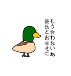 理解あるカモくん（個別スタンプ：40）
