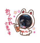 保護猫カフェねこかつ下僕によるスタンプ（個別スタンプ：10）