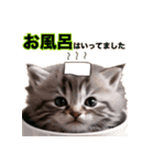 毎日のふわふわ子猫スタンプ（個別スタンプ：2）