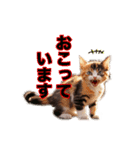 毎日のふわふわ子猫スタンプ（個別スタンプ：7）