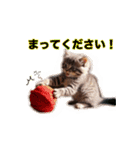 毎日のふわふわ子猫スタンプ（個別スタンプ：9）