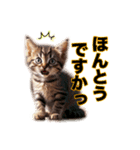 毎日のふわふわ子猫スタンプ（個別スタンプ：14）