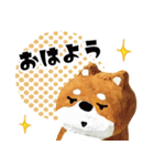 柴蔵。【日常編】（個別スタンプ：1）