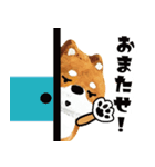 柴蔵。【日常編】（個別スタンプ：4）