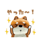 柴蔵。【日常編】（個別スタンプ：5）