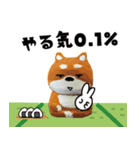柴蔵。【日常編】（個別スタンプ：13）