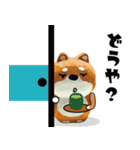 柴蔵。【日常編】（個別スタンプ：15）