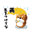 柴蔵。【日常編】（個別スタンプ：21）