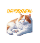 とにかくかわいい ターキッシュ・バン（個別スタンプ：6）